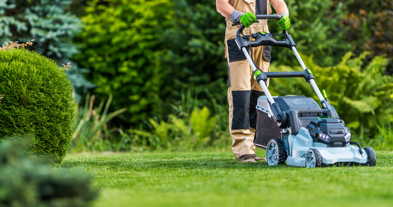 Cost Of Lawn Mowing And Trimming